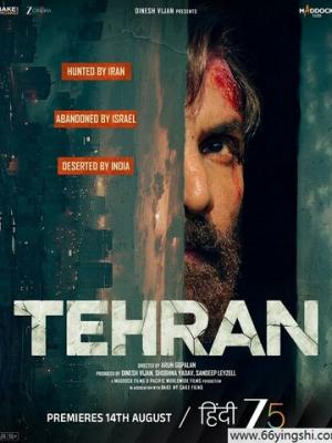 雾隐长夜 影视封面